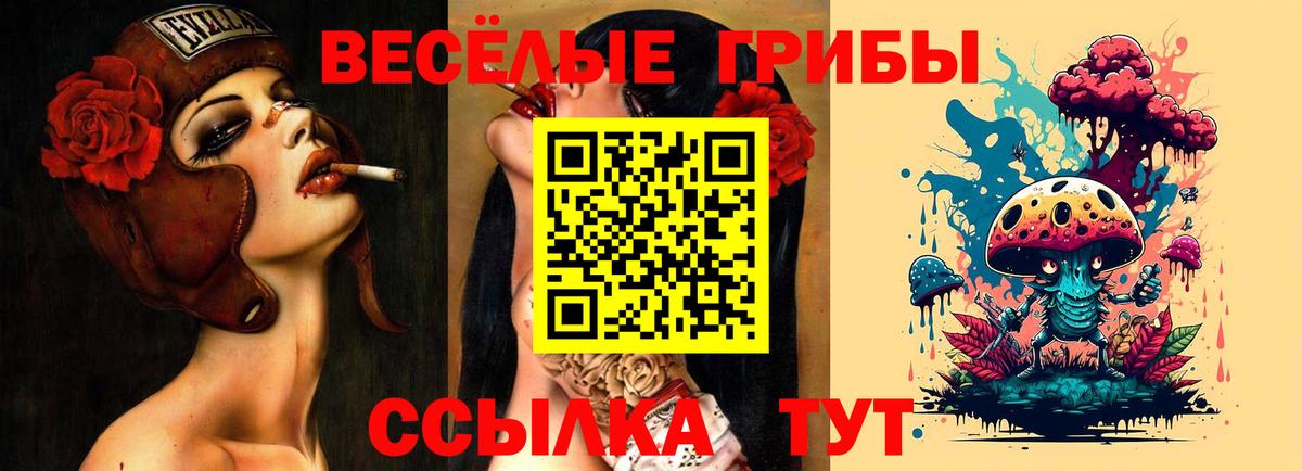 Галлюциногенные грибы прущие грибы Мурино