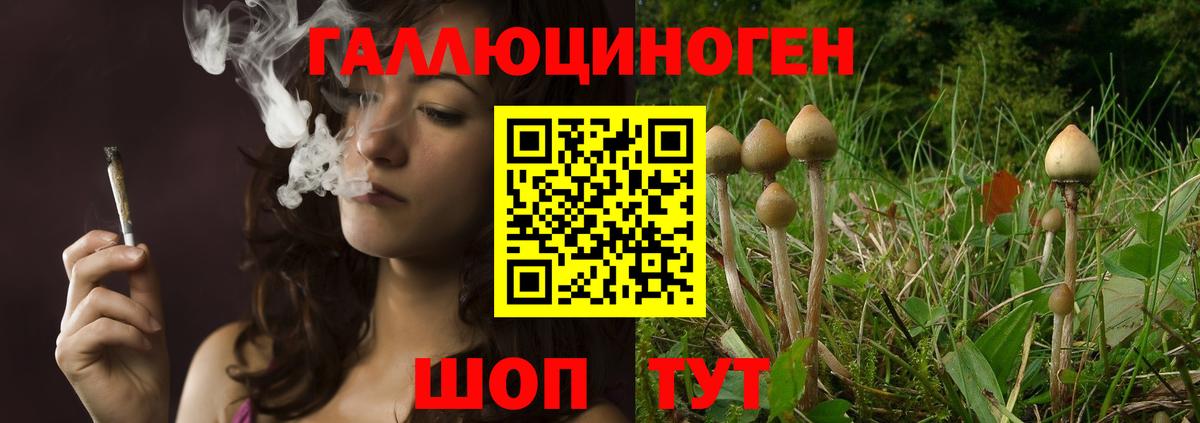 Псилоцибиновые грибы ЛСД  Вход с VPN  Мурино 